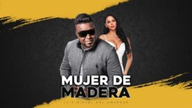 Mujer de Madera –  Luis Miguel del Amargue – Video Liryc