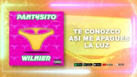 Wilnier – Pantysito ( Audio Oficial )