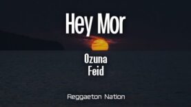 Ozuna, Feid – Hey Mor (Letra/Lyrics) | Ozutochi